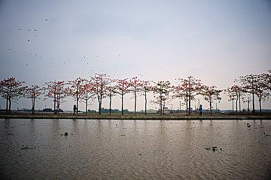 《2.5次元的诱惑 天使们的舞台》 Steam版正式上线！愿望单活动顺利完成！